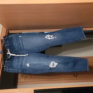 Torrid Pull On Jeans